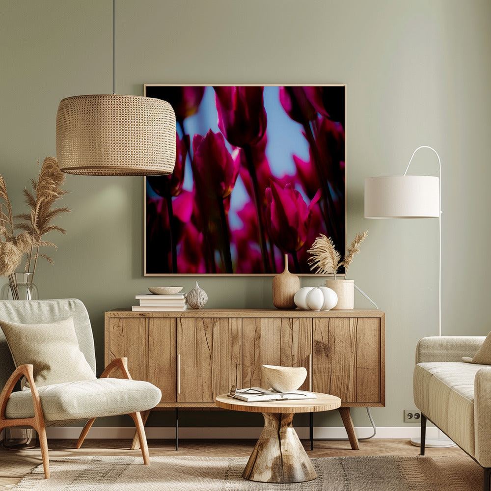 Purple Tulips | Canvas