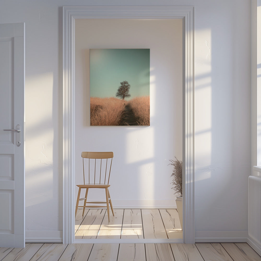 Grass and Path | Canvas