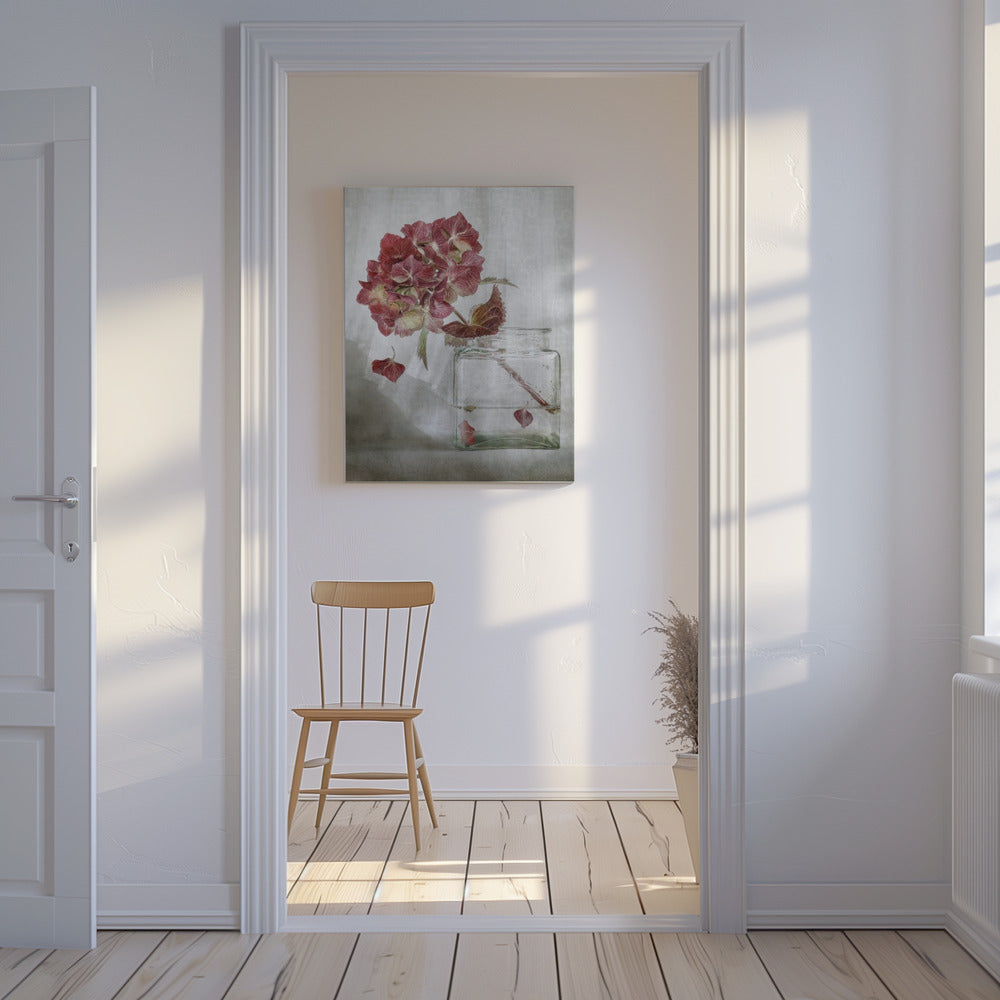 Hydrangea | Canvas