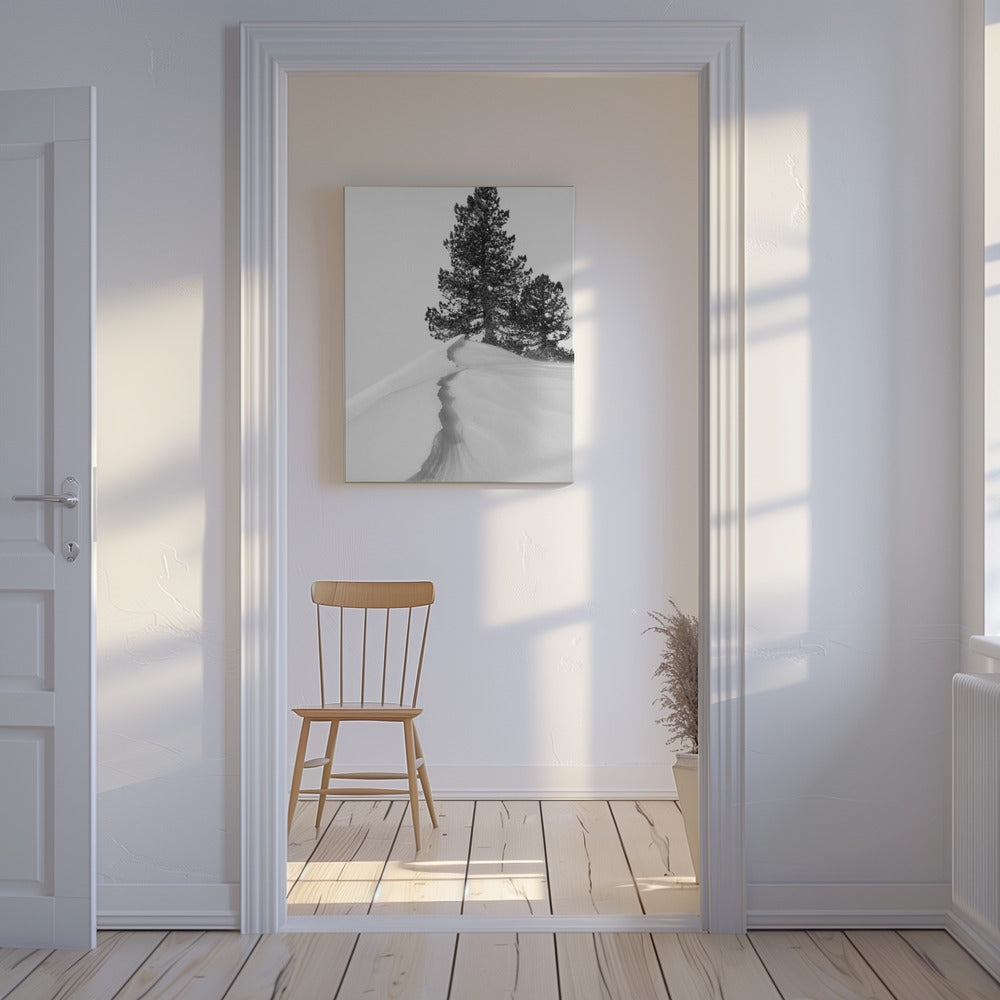 About the snow and forms | Canvas