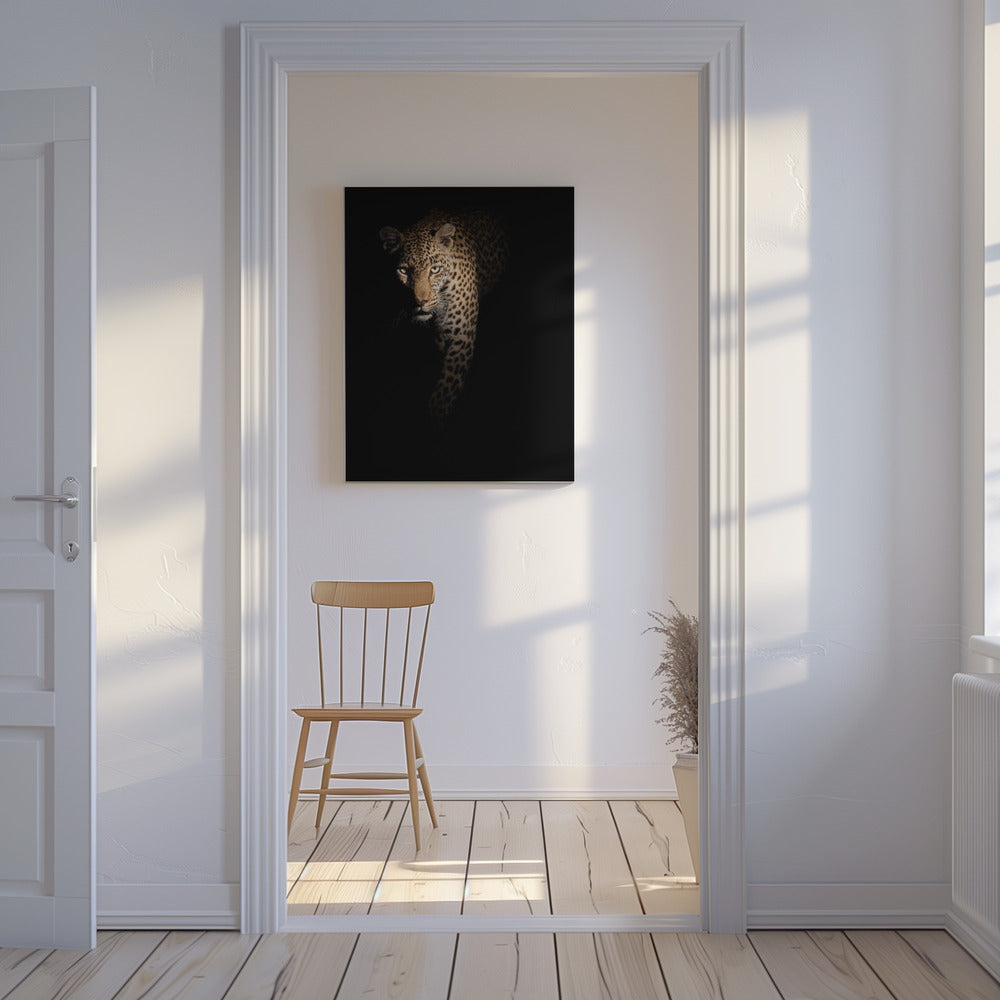 Out of the darkness | Canvas
