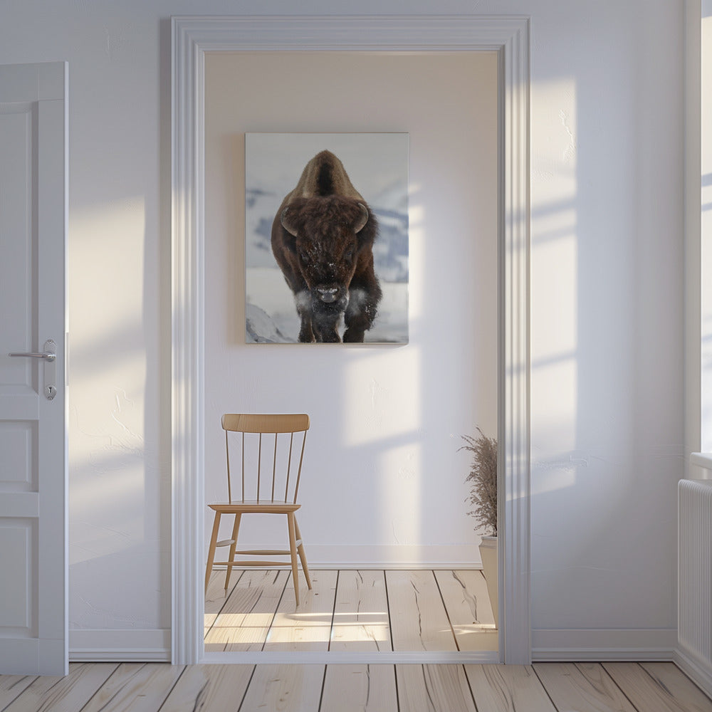 Bison Incoming | Canvas