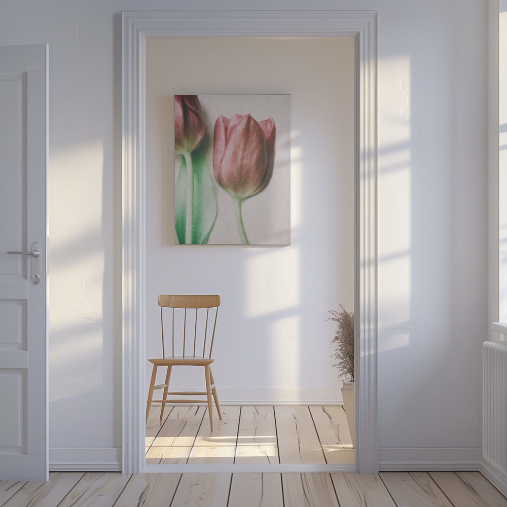 The Spring Lovers | Canvas