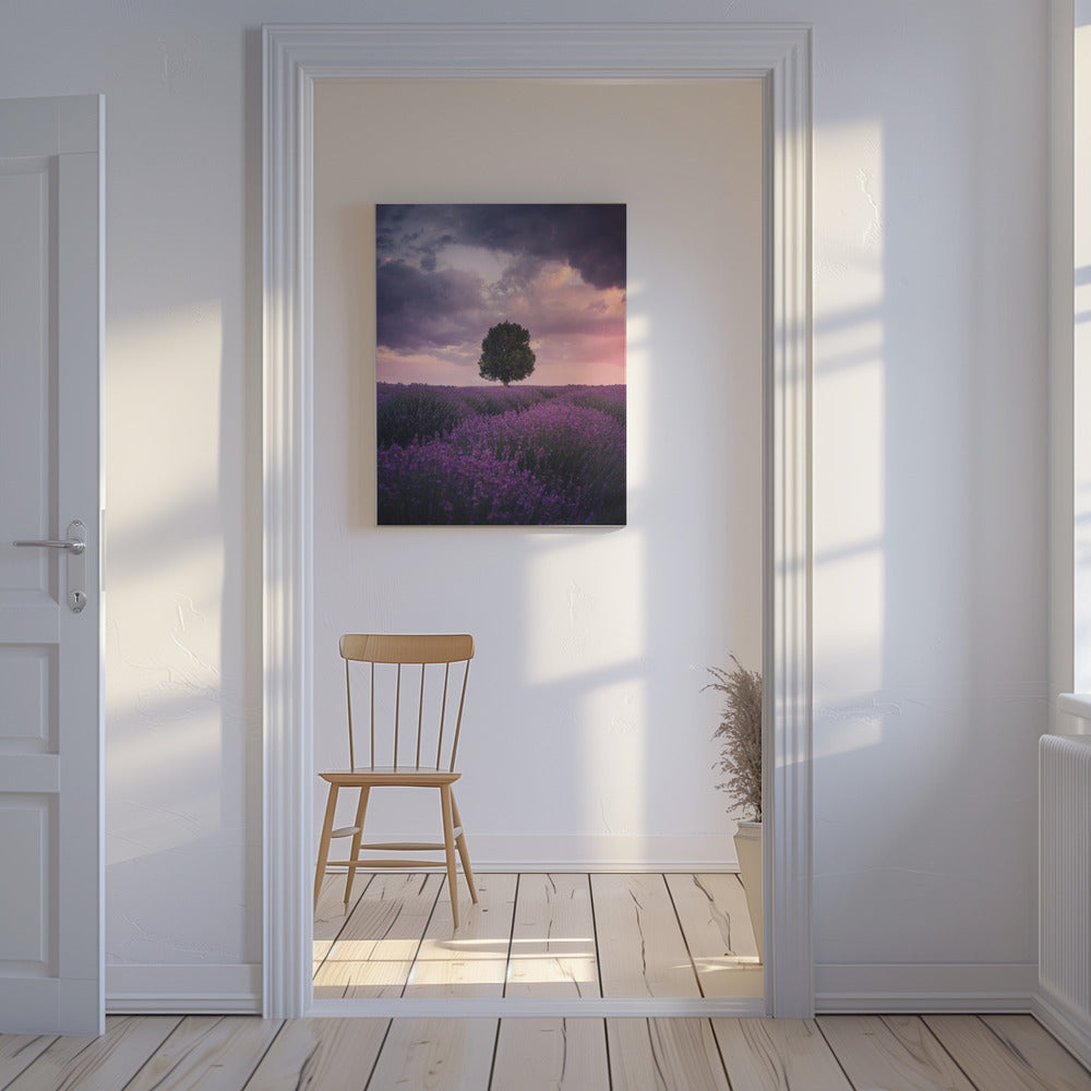 Lavender Fields, Isparta | Canvas