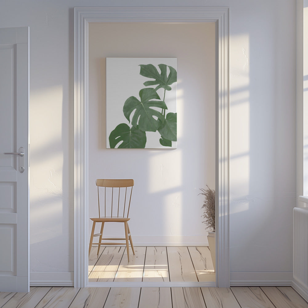 Monstera Aqua 03 | Canvas