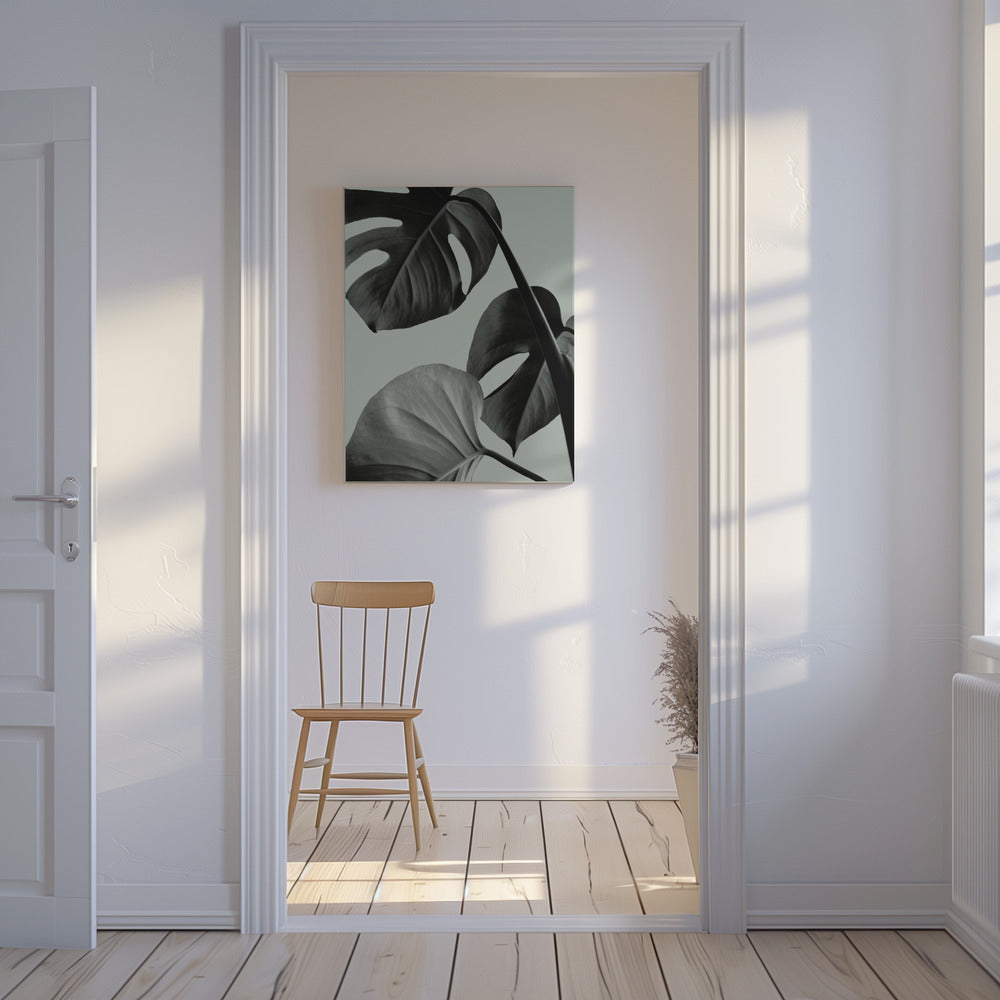 Monstera Teal 07 | Canvas