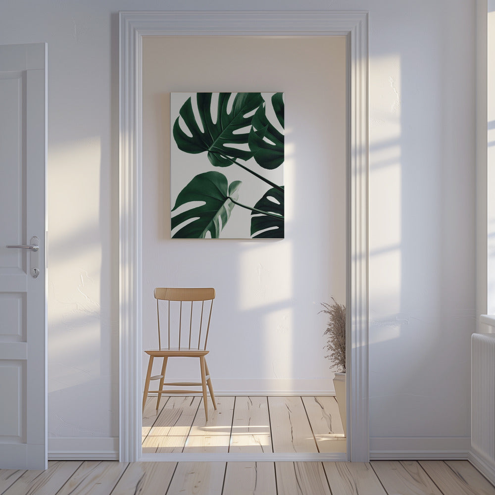 Monstera Natural 43 | Canvas