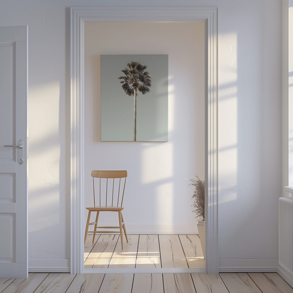 Palm_001 | Canvas