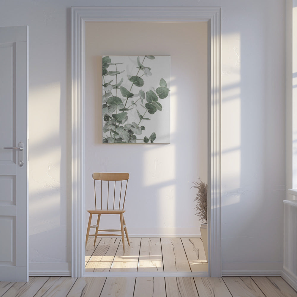 Eucalyptus_003 | Canvas