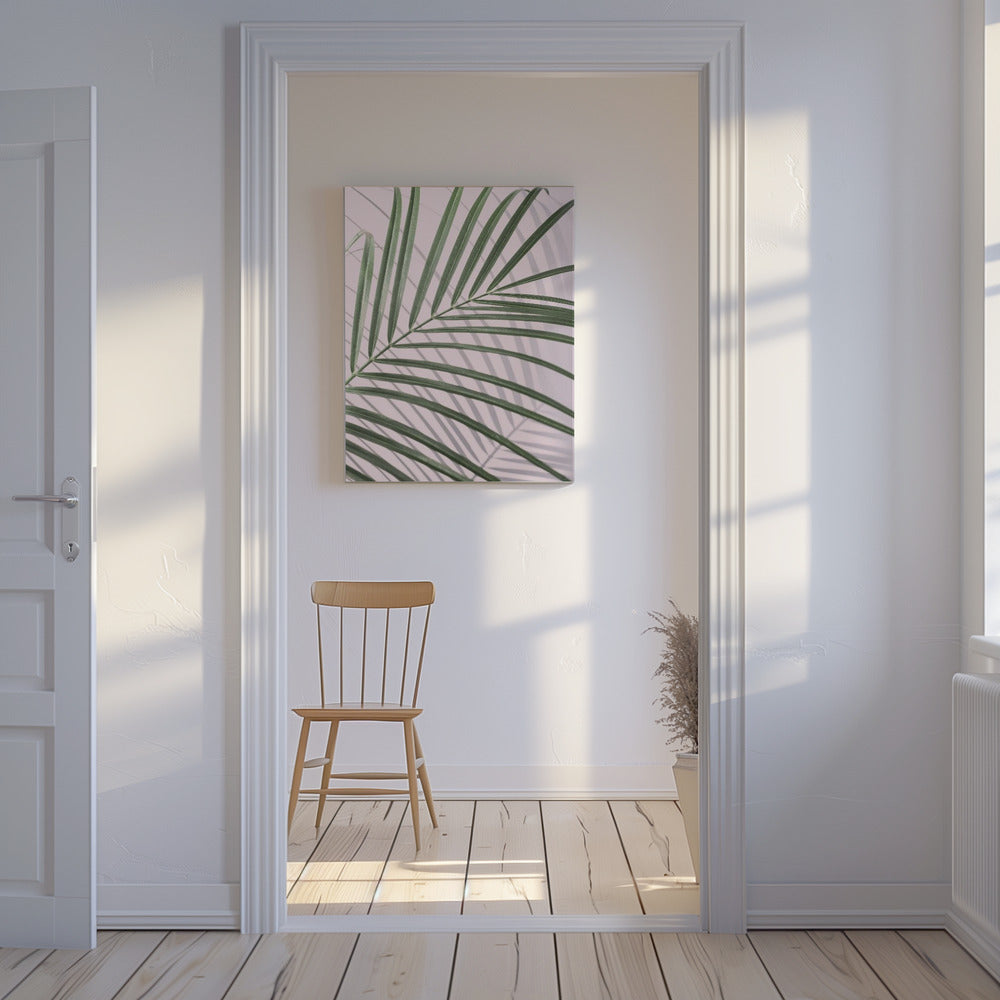 Palm Leaf Shadow | Canvas