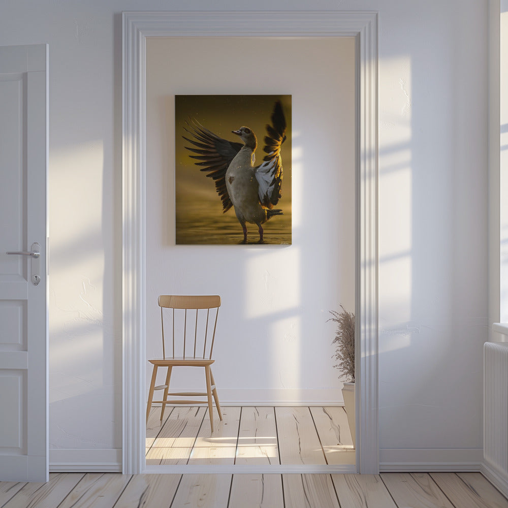 Open  Heart | Canvas