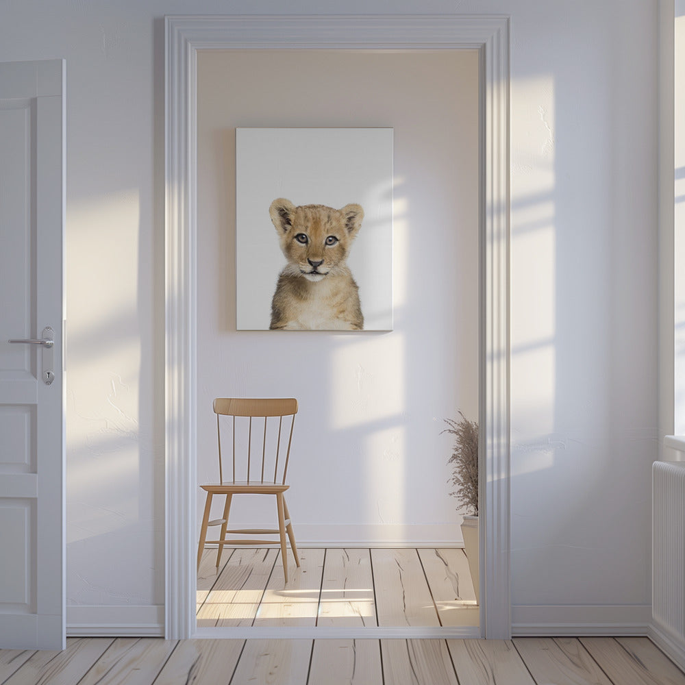 Baby Lion | Canvas