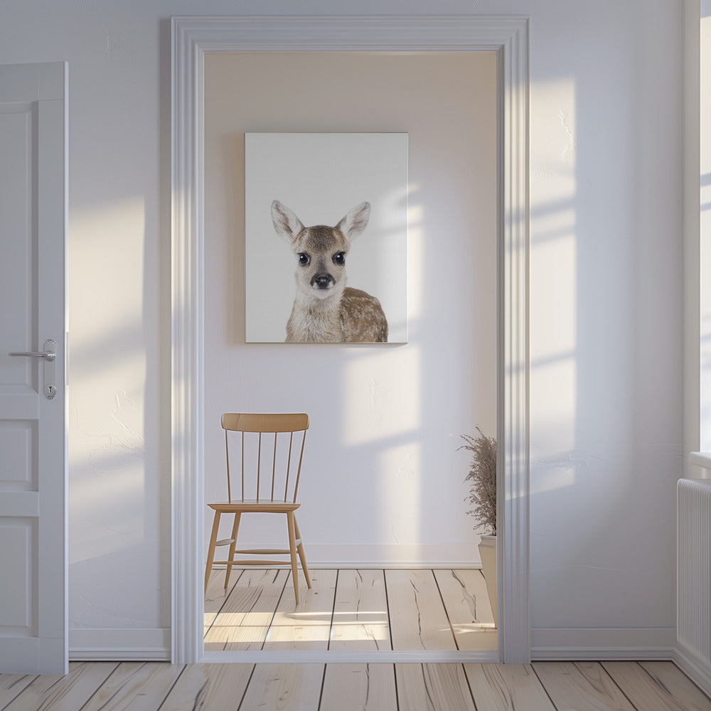 Baby Deer | Canvas