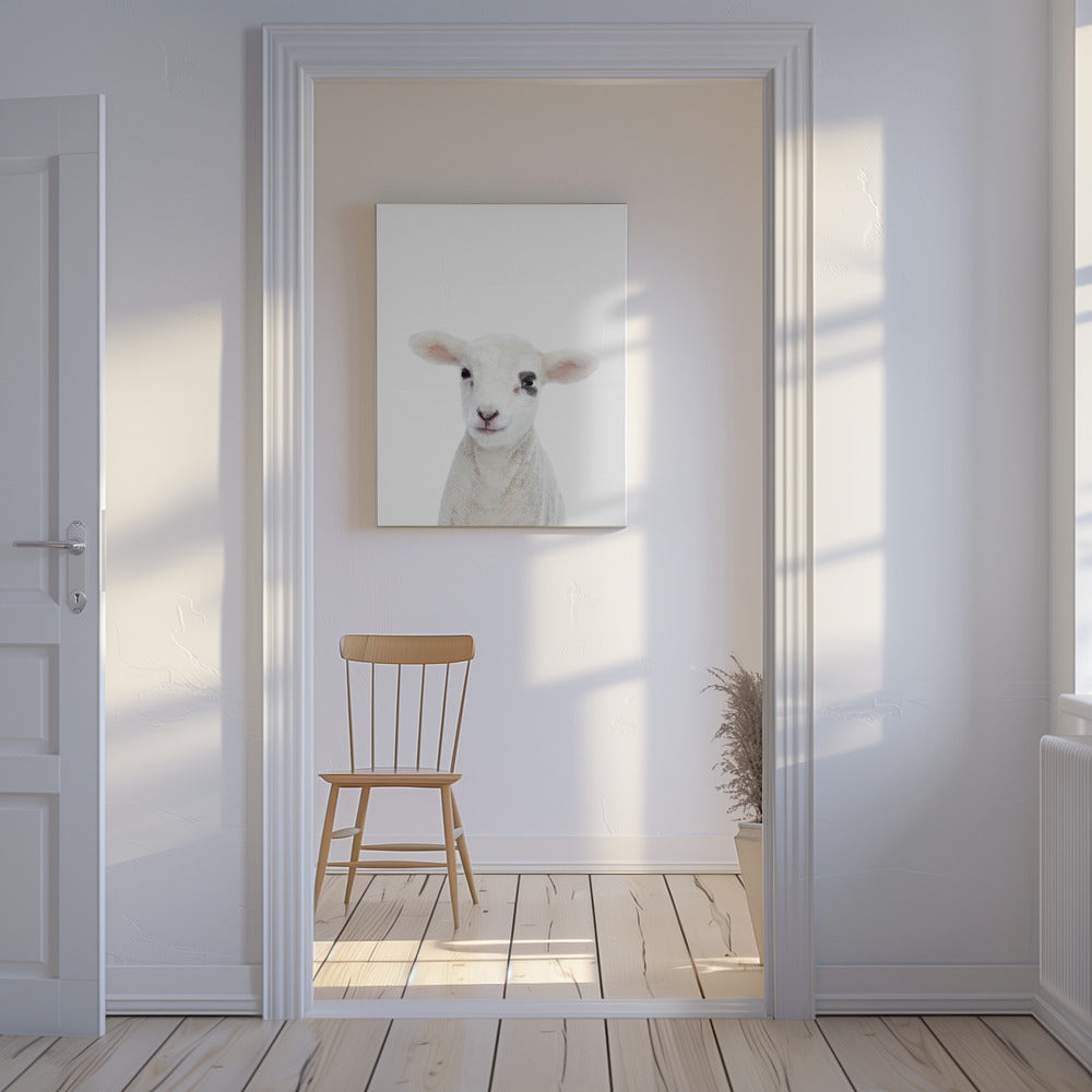 Baby Lamb | Canvas