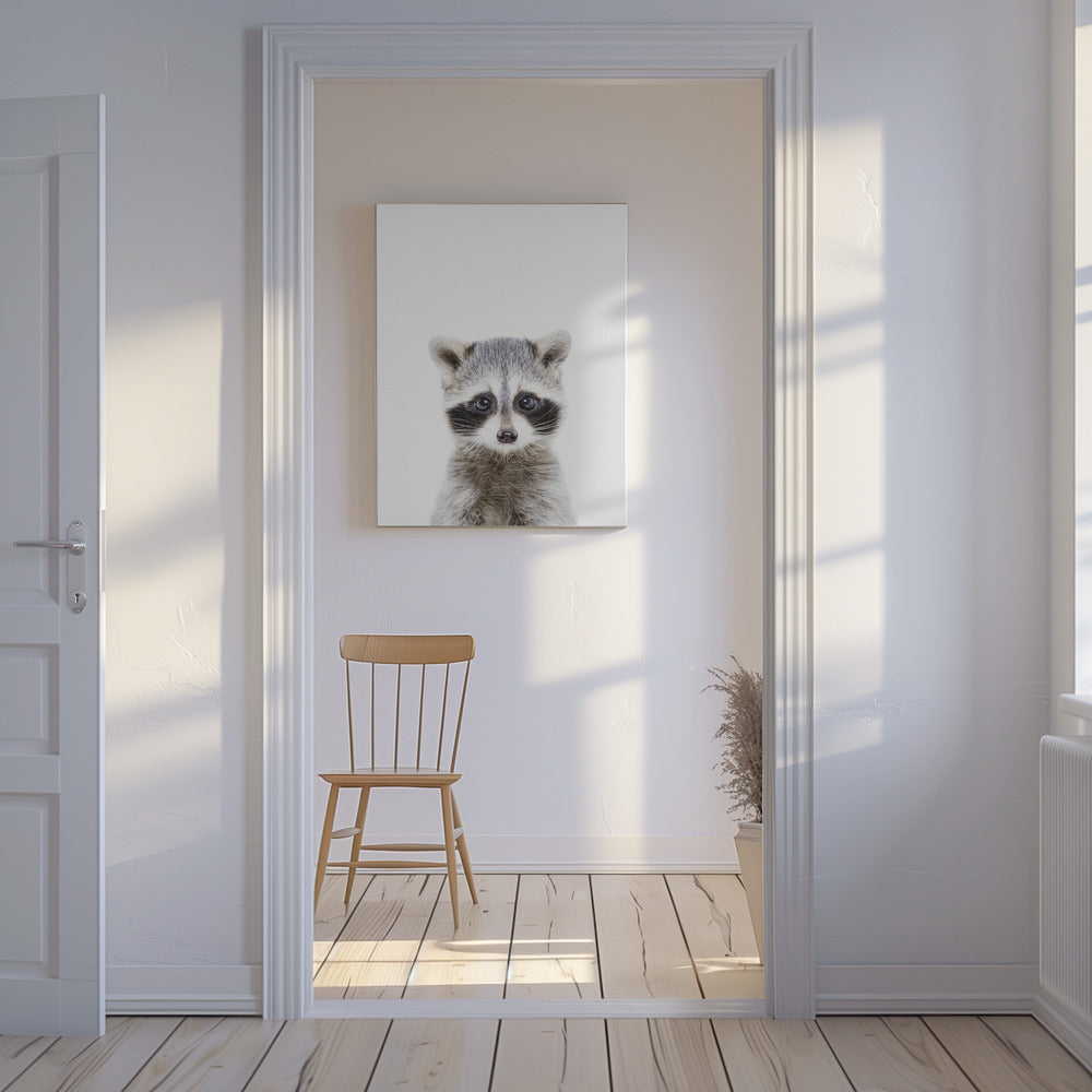 Baby Racoon | Canvas