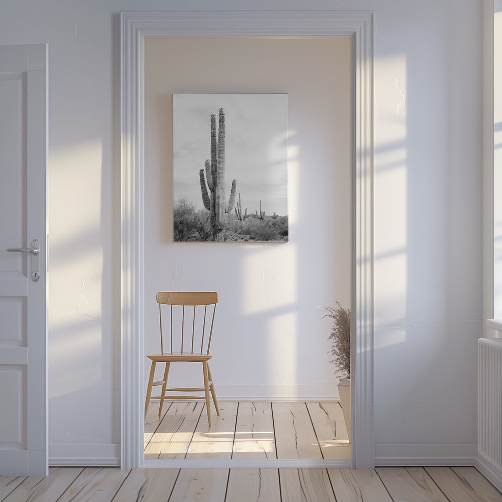 Saguaro B&amp;W | Canvas