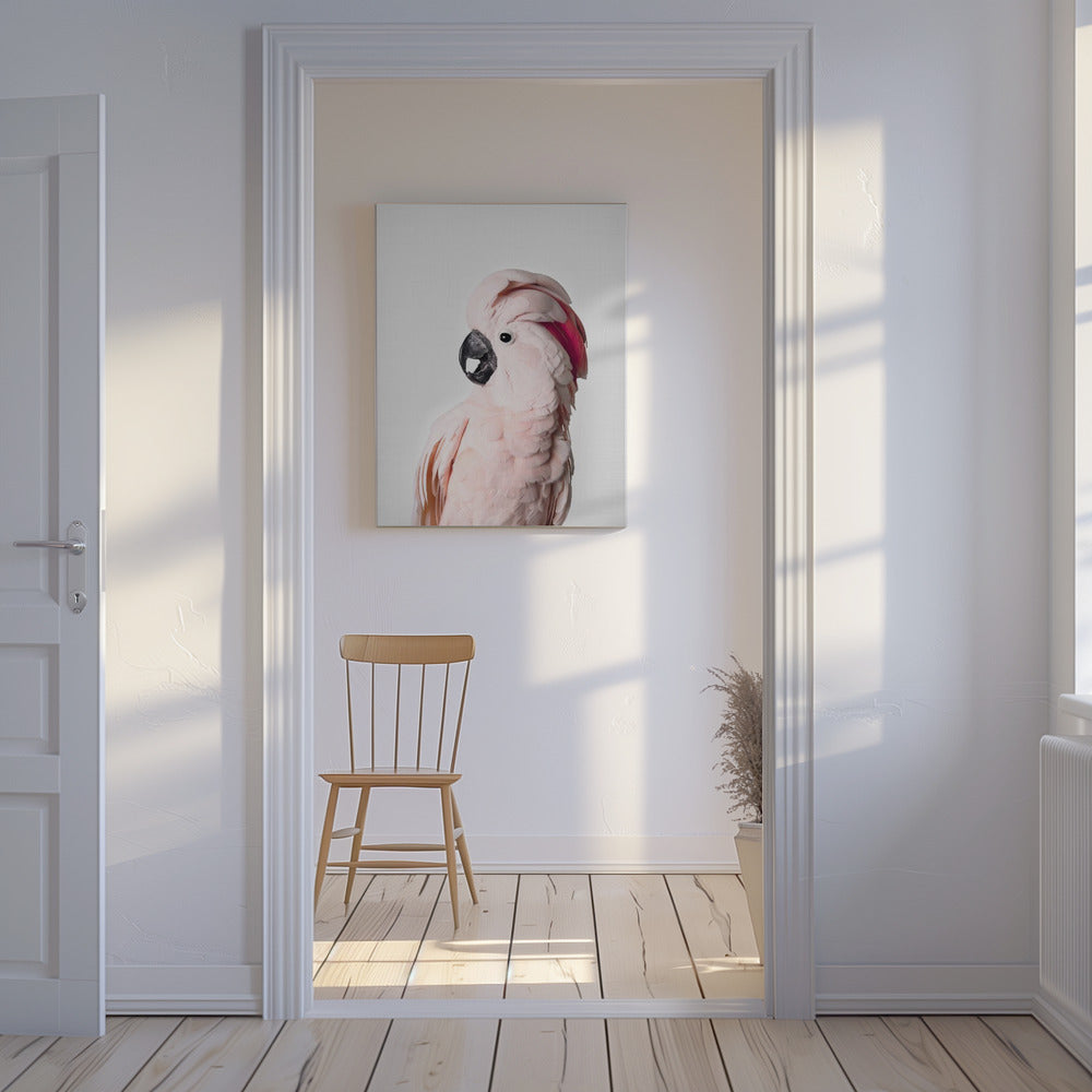 Pink Cockatoo | Canvas