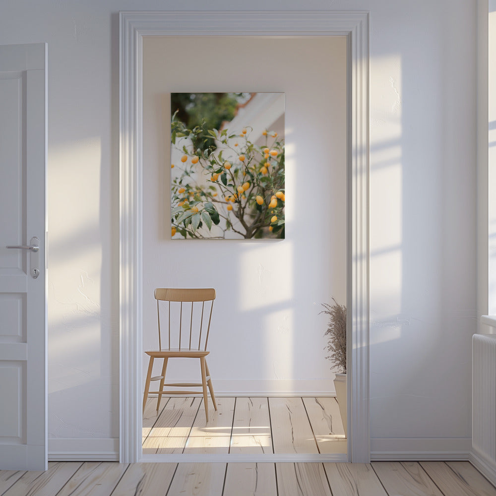 Orange Capri | Canvas