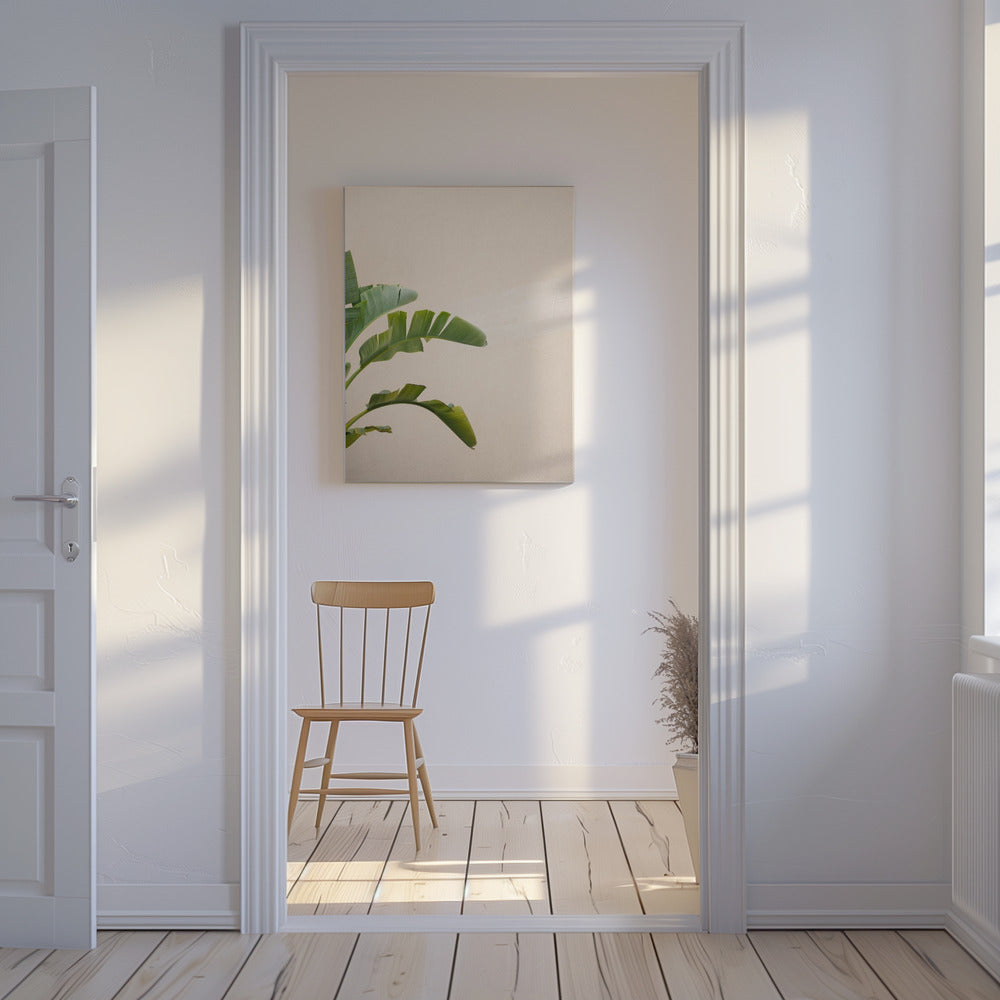 Cannes Banana Plant | Canvas