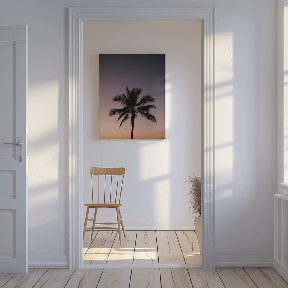 Costa Rica Palm Tree | Canvas