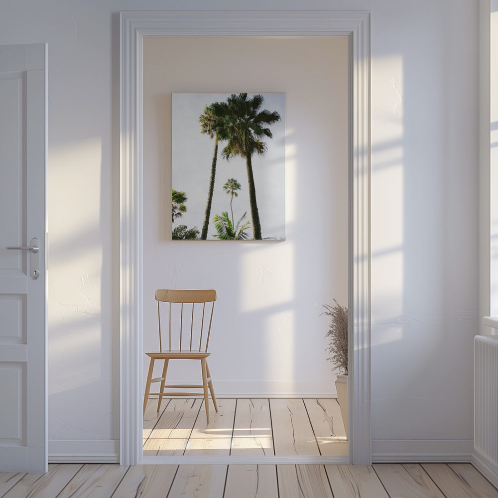 Find me under the Palm Tree | Canvas