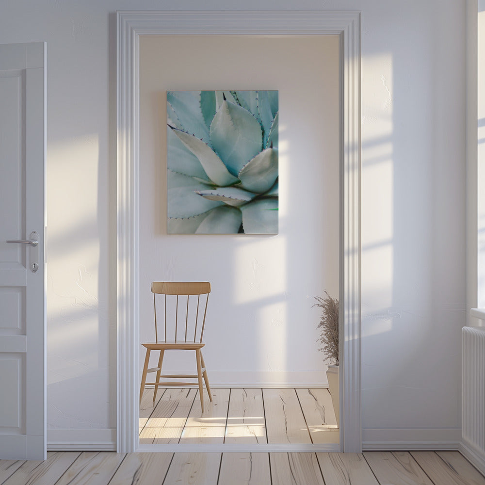 Succulent Green | Canvas