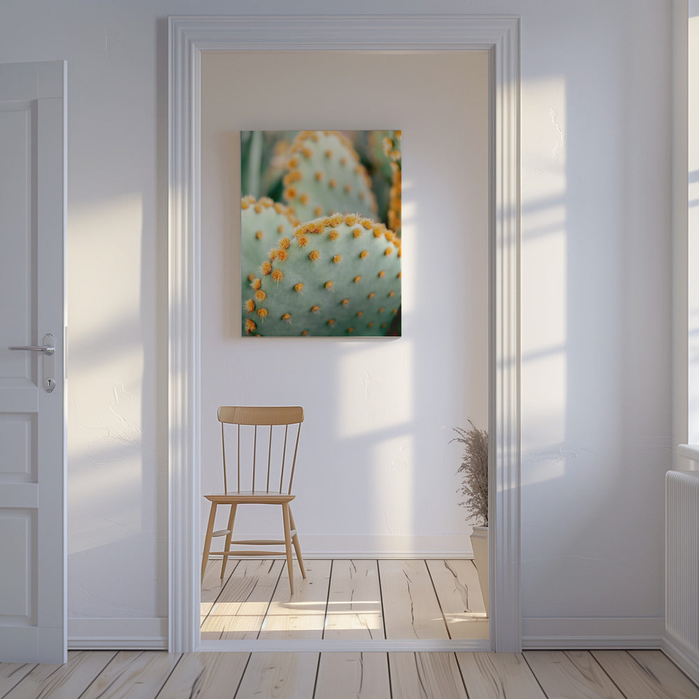 Orange and Green II - Marrakech botanical photography | Canvas