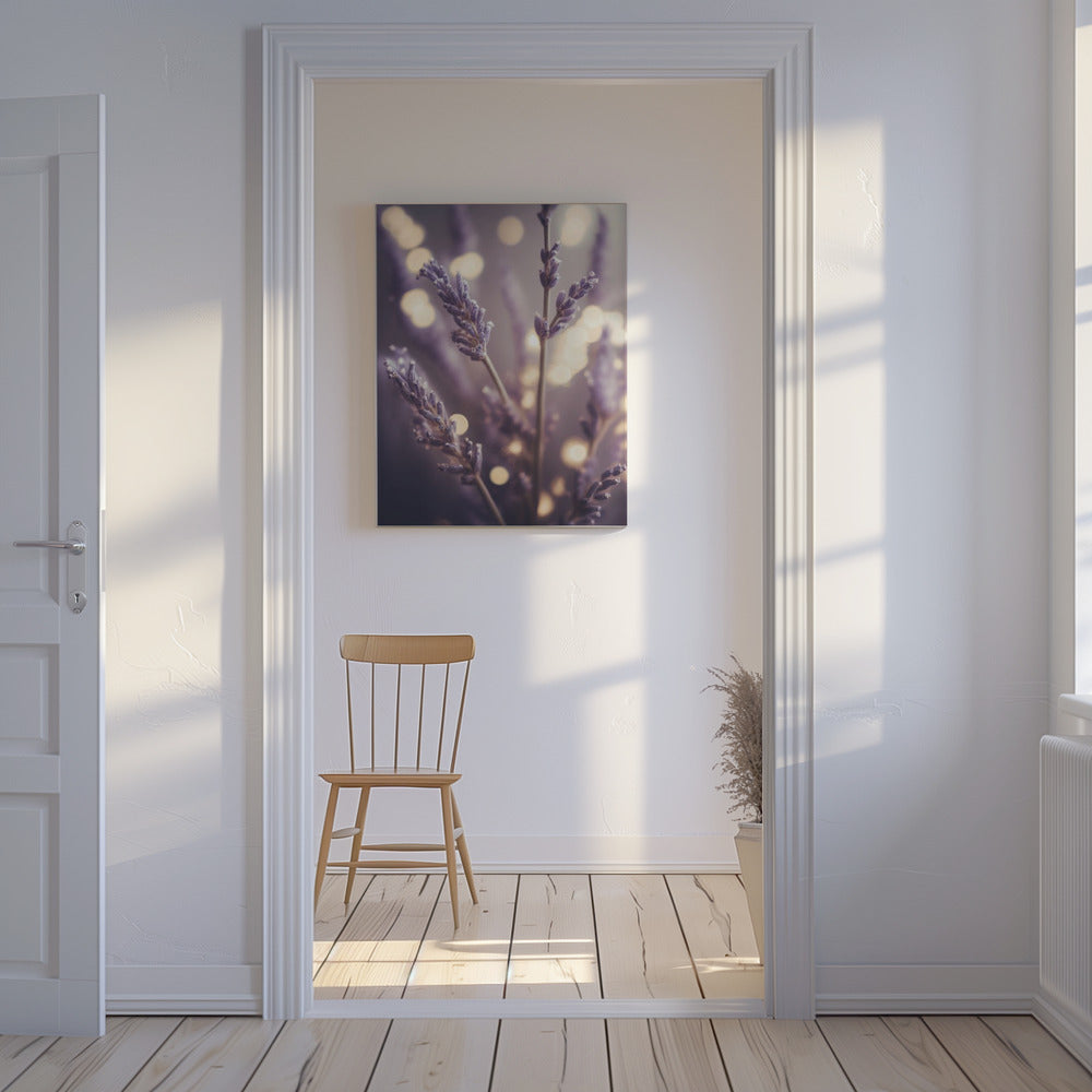 Lavender Dreams | Canvas