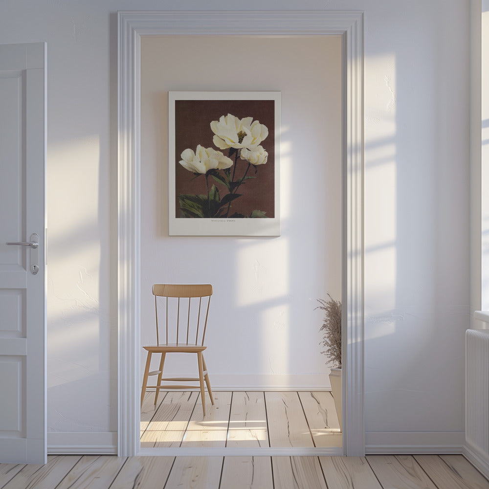 Hærdaceous Peony | Canvas