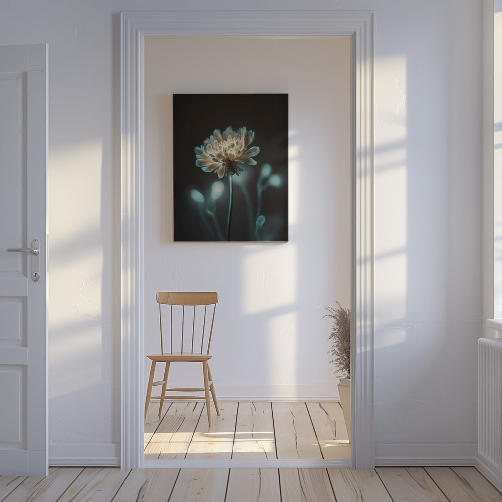 “Luminous Blossom” | Canvas