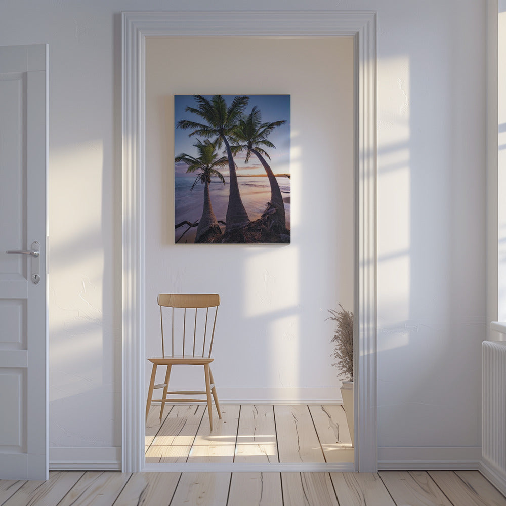 Palmy Twilight | Canvas