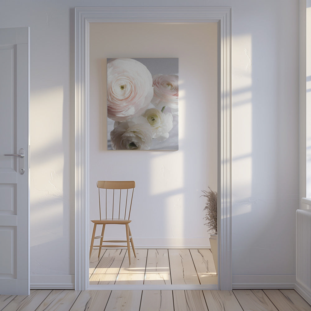 Soft Ranunculus | Canvas