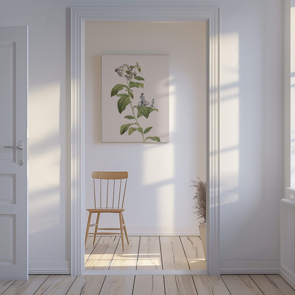 Botanical cycling | Canvas