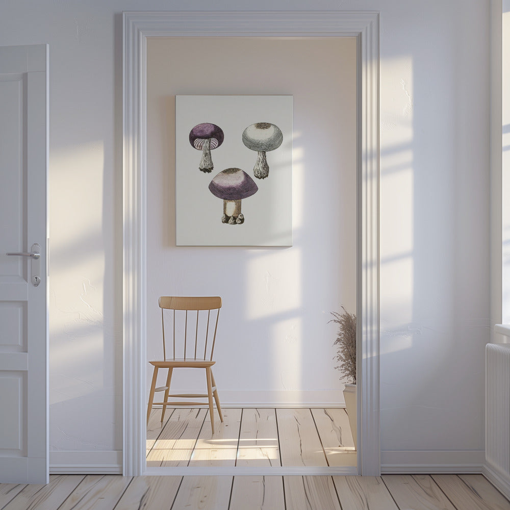 Hand Darwn Violet Webcap Mushroom | Canvas