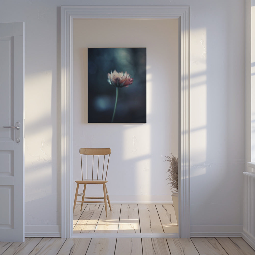 Dew-Kissed Blossom | Canvas