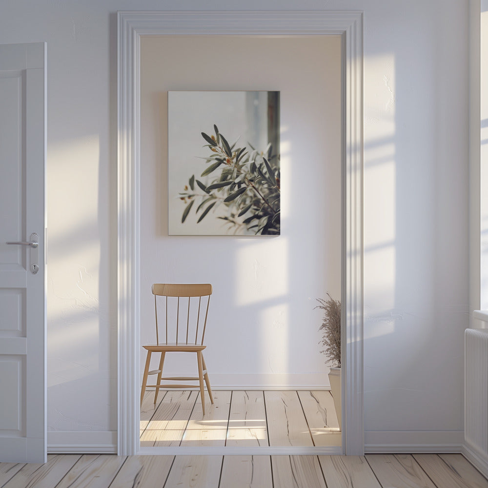 Olive Branch Light | Canvas