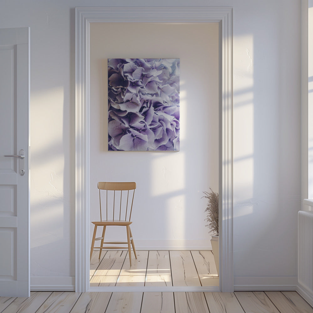 Vibrant Purple Hydrangea Flowers | Canvas