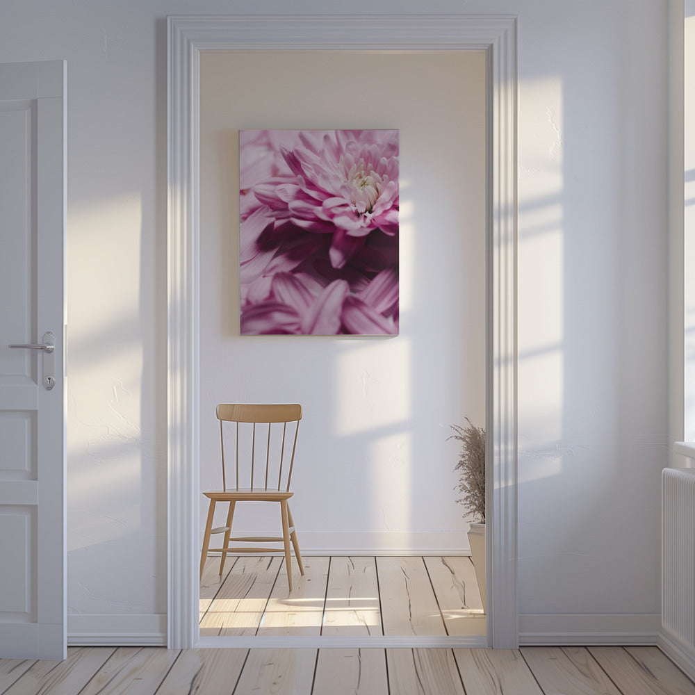 Pink Petal Symphony | Canvas