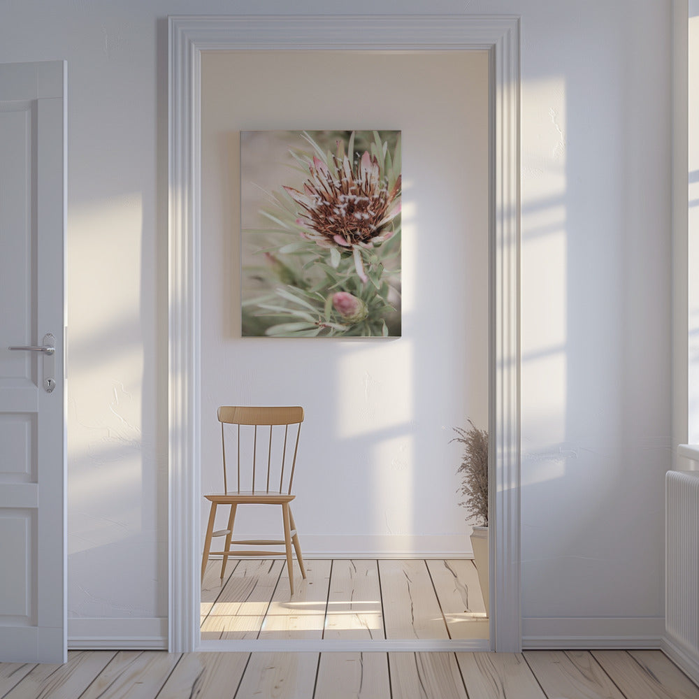 Soft Bloom Elegance | Canvas