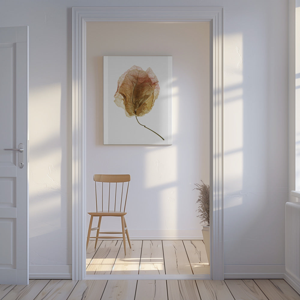 Veined Elegance | Canvas