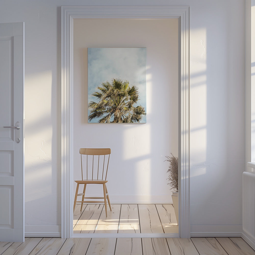 Sunlit Fronds | Canvas