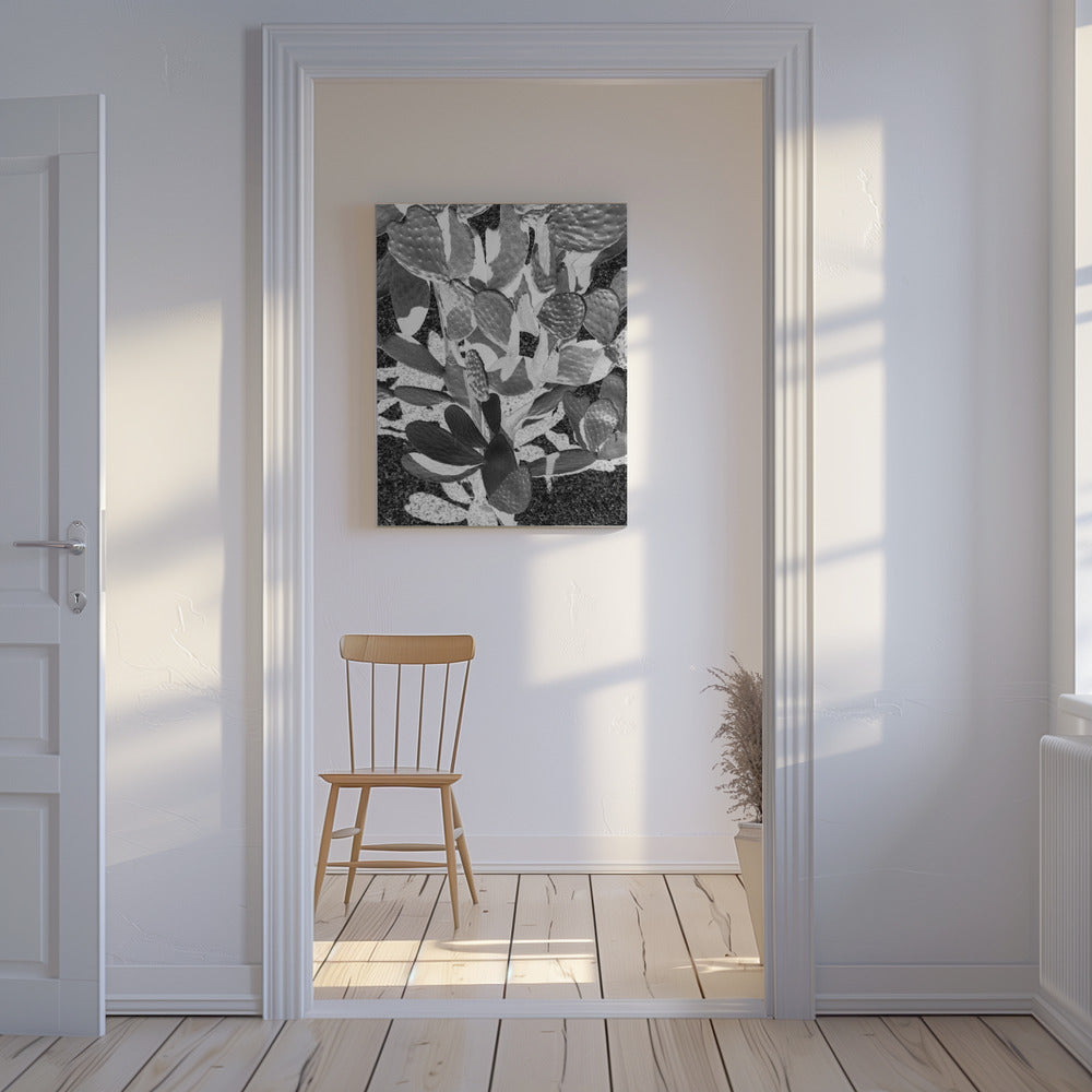 Prickly Patterns | Canvas
