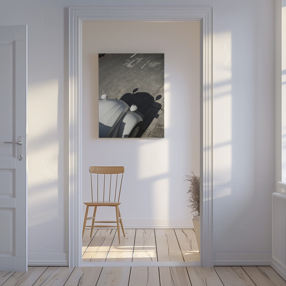 Classic Curve Shadows | Canvas