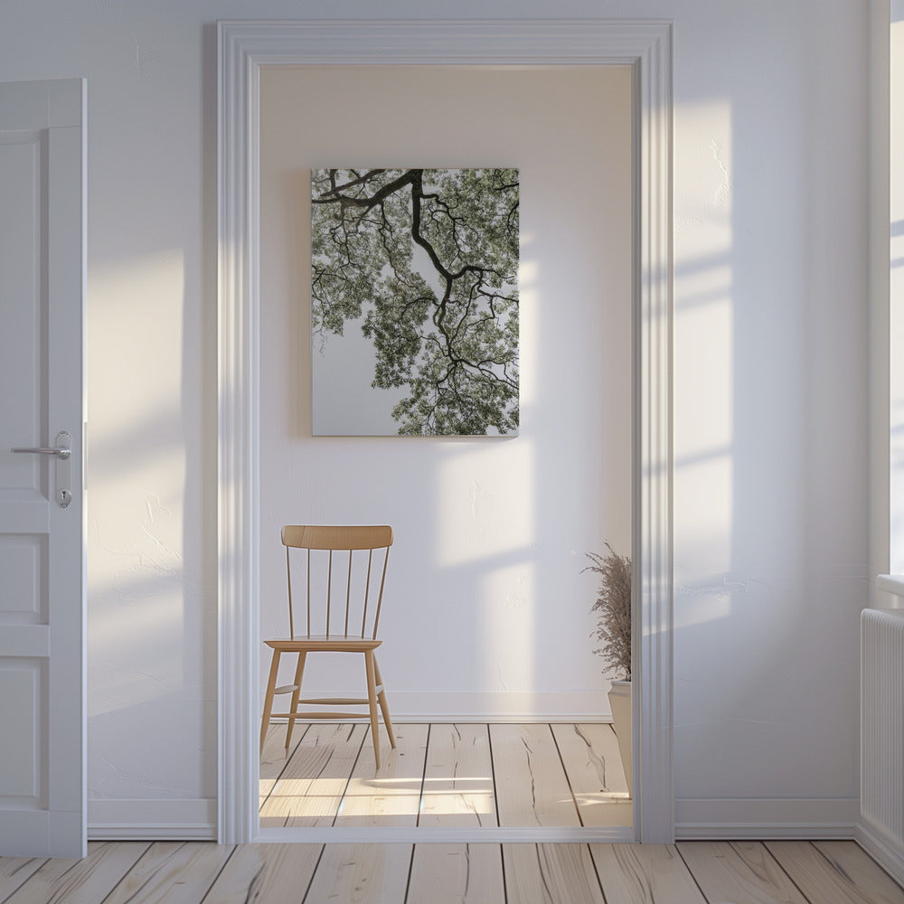 Ethereal Canopy | Canvas