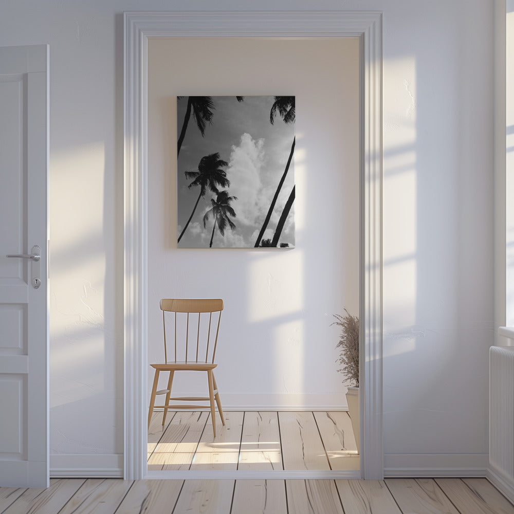 Silhouetted Palms | Canvas