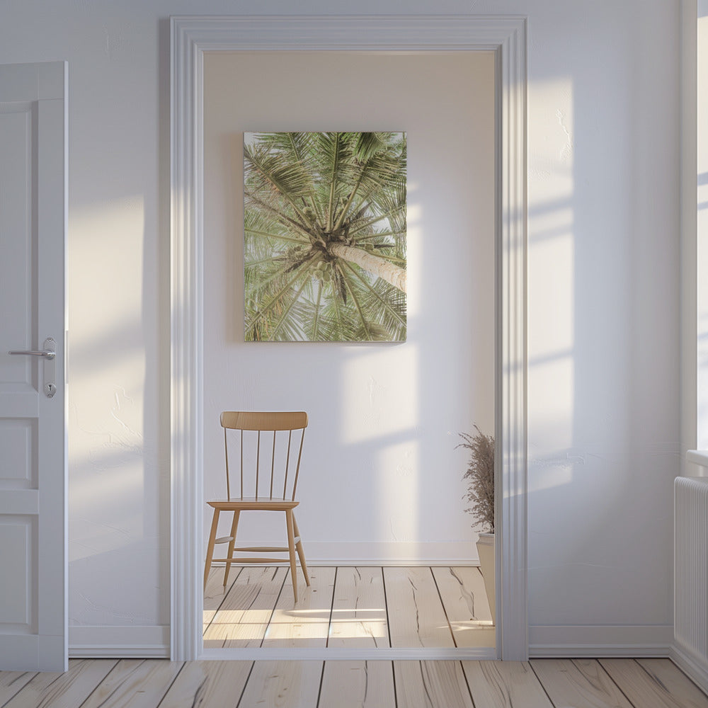 Coconut Canopy | Canvas