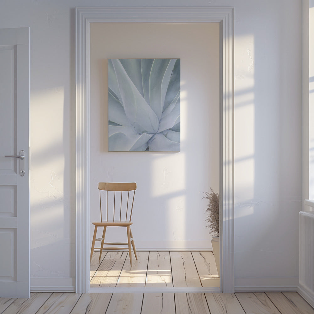 Silvery Succulent | Canvas