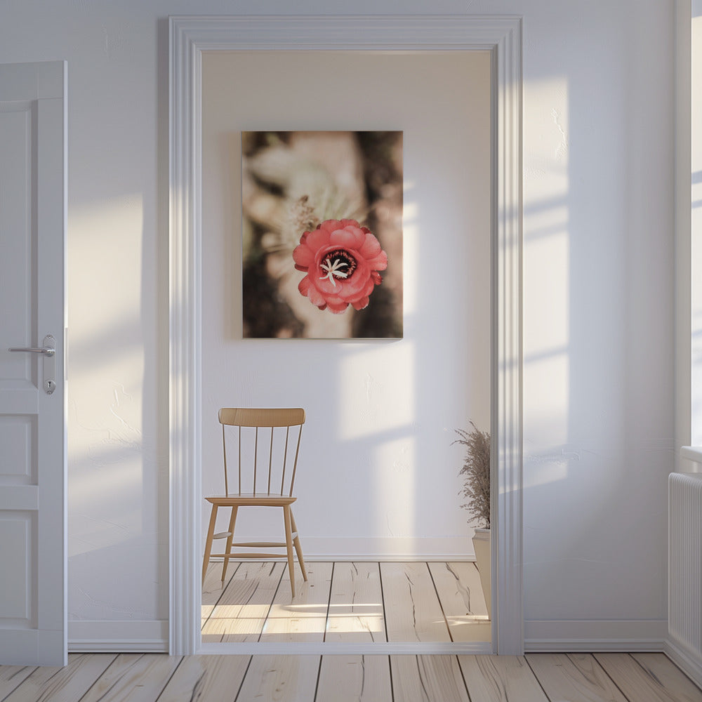 Desert Bloom Dance | Canvas