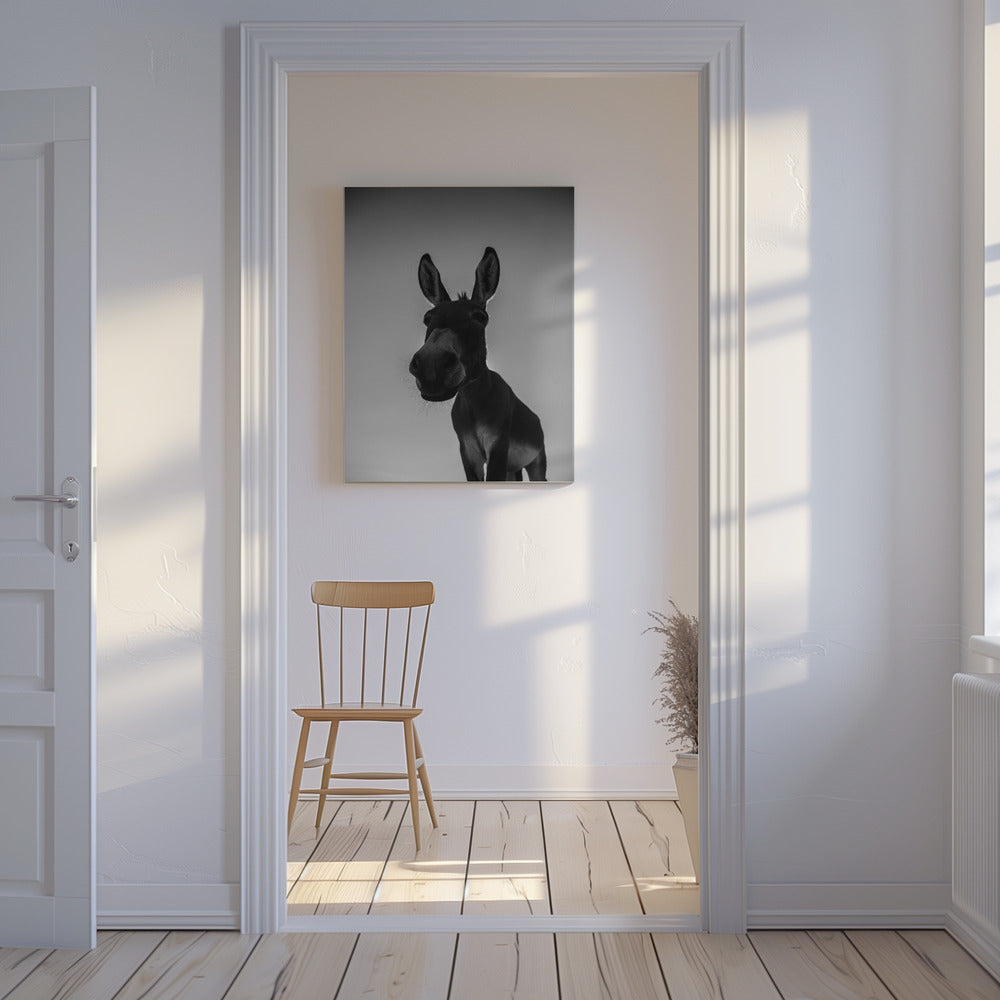Curious Donkey Gaze | Canvas
