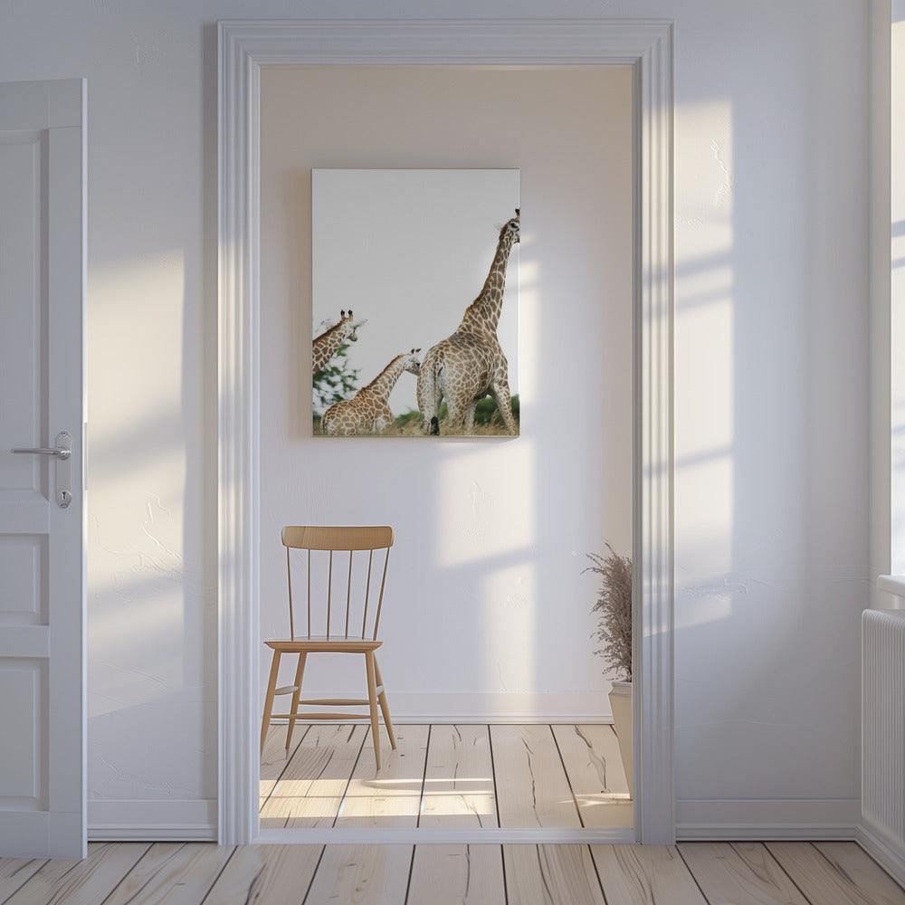 Giraffe Stroll | Canvas